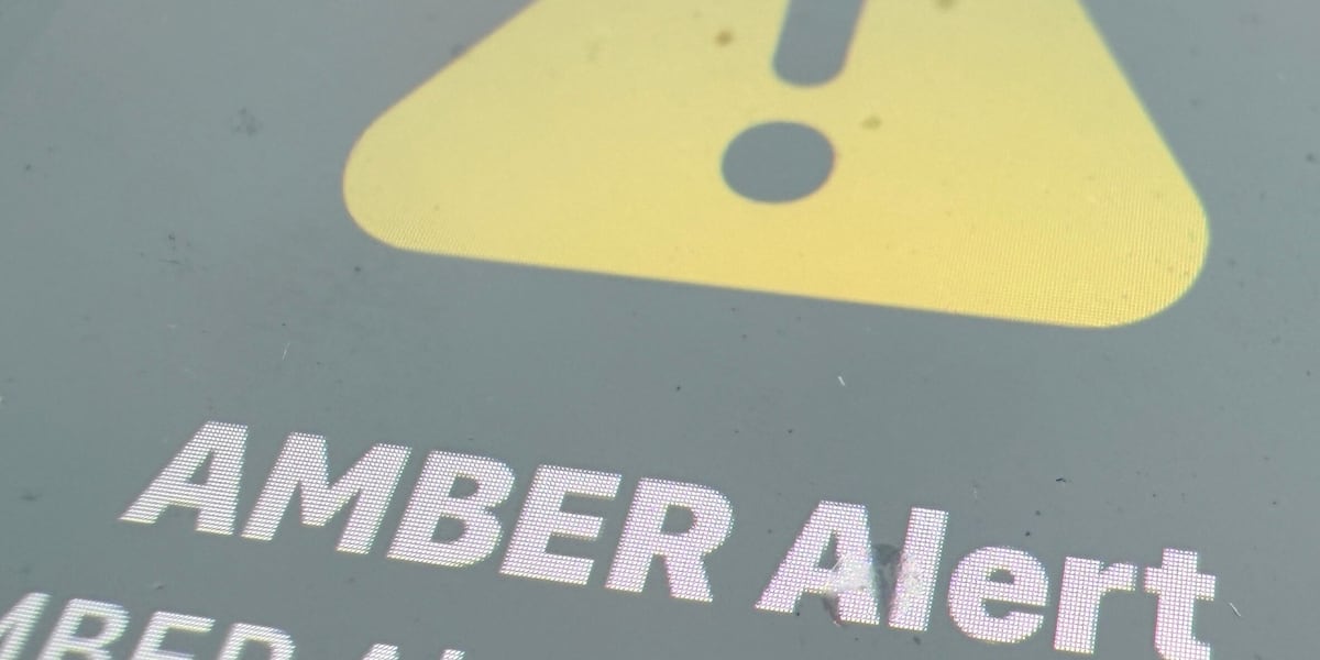 Coverage image for: Update on Georgia Amber Alert with Alabama connection