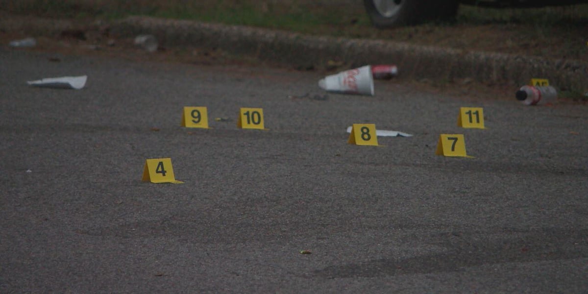 Coverage image for: 8 injured in shooting after neighborhood party in Tuscaloosa