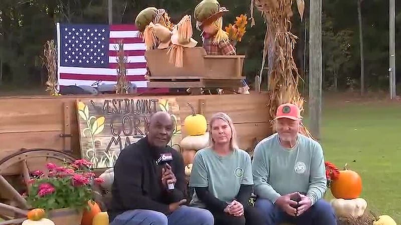 The West Blount Corn Maze in Warrior
