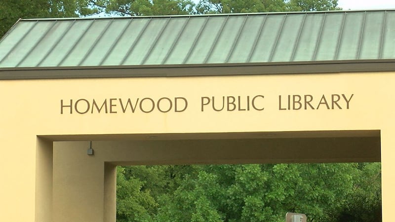 $7 bag sale at the Homewood Public Library