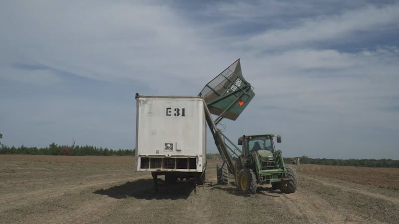 Meet the candidates for Alabama's commissioner of agriculture