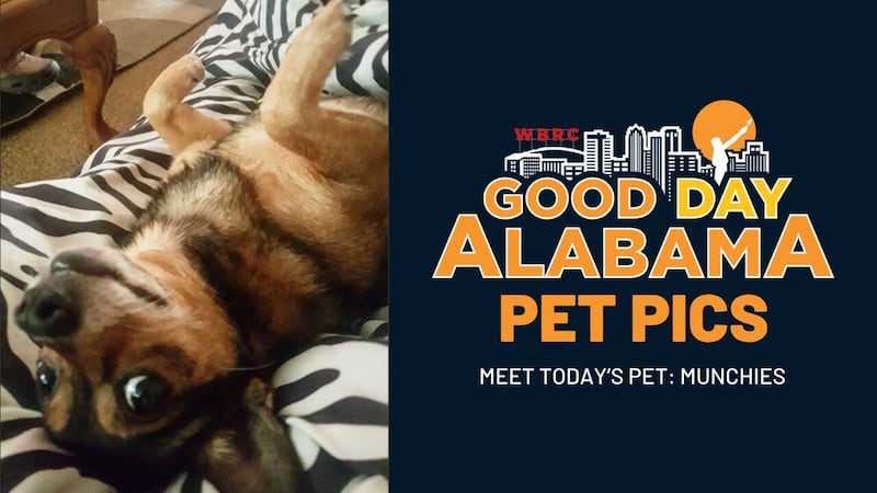 Good Day Alabama Pet Pics: Munchies