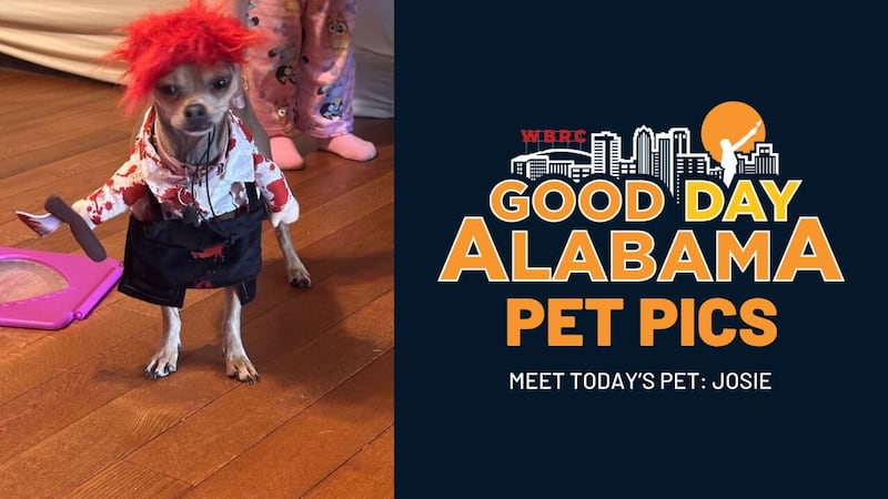 Good Day Alabama Pet Pics: Josie