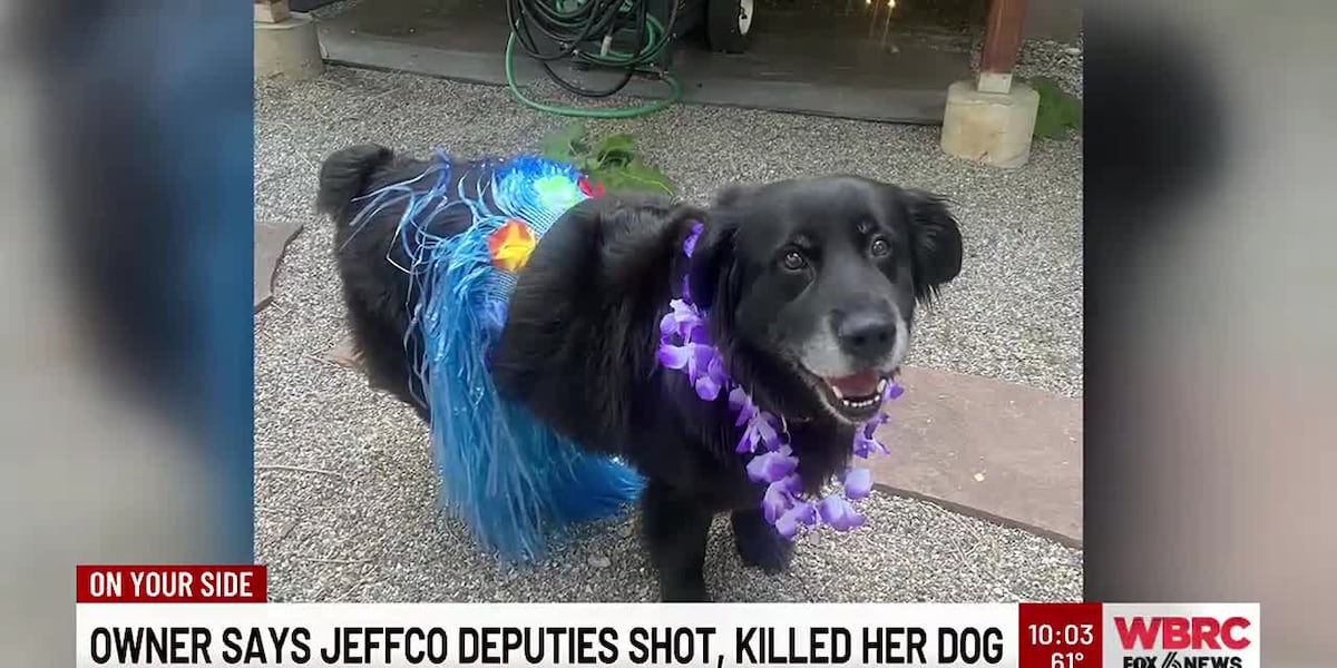 Owner says Jefferson County Sheriff's Deputies shot, killed her dog