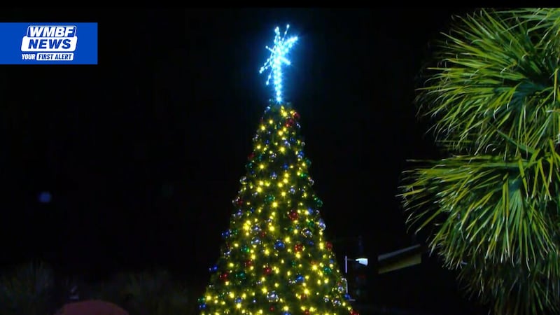 A Christmas tree lighting ceremony was held Saturday evening in Plyler Park.